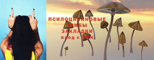 прущая мука Абинск