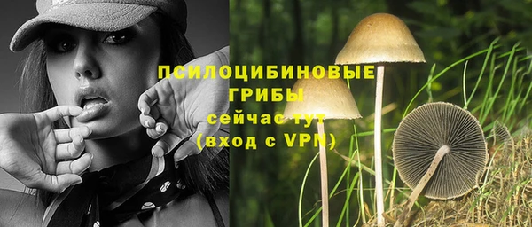 трава Алзамай
