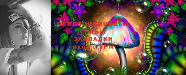 прущий лед Алексеевка