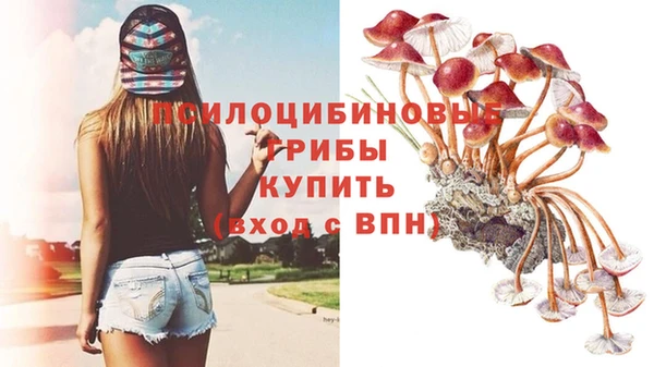 прущие крисы Дмитровск