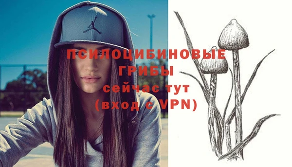 гидропоника Абаза