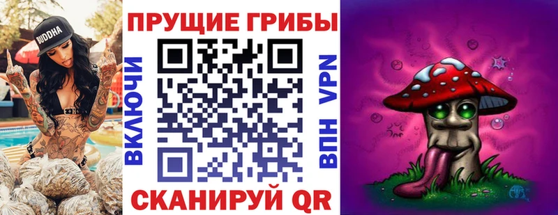 Галлюциногенные грибы Cubensis ссылка на мегу рабочий сайт Покачи